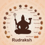 Rudraksh