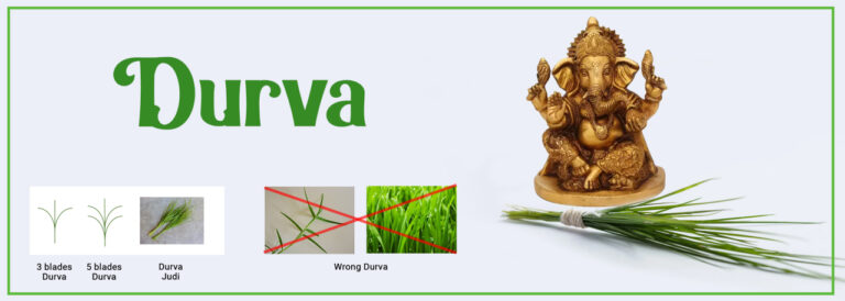 Connection Of Durva And Lord Ganesh - Vedik Astrologer- Pune